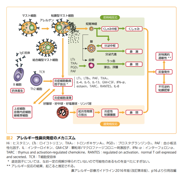 オーソモレキュラー医学会 記事ページ
